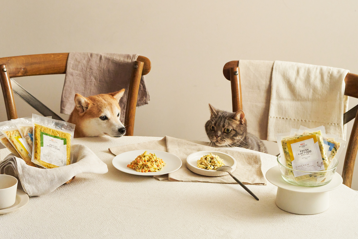 PETOKOTO FOODS for CATS